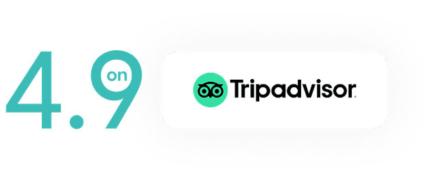4.9 on Tripadvisor