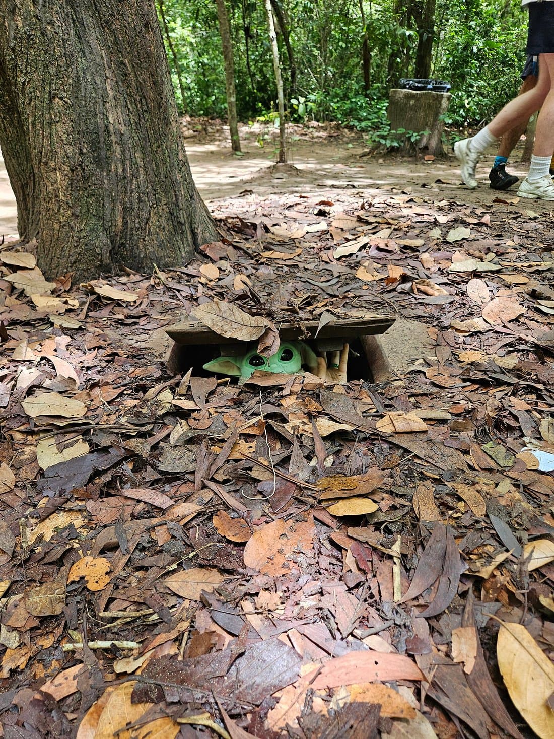 Cu Chi Tunnels Half-day Tour