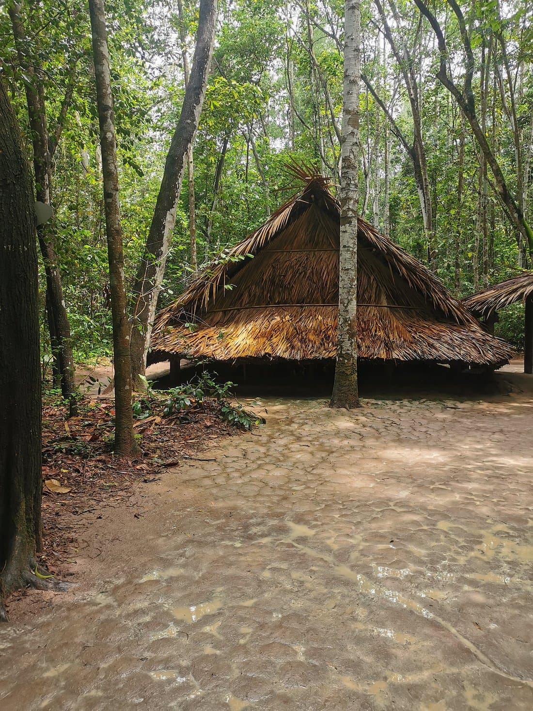 Cu Chi Tunnels and Mekong Delta Full Day Tour Small Group