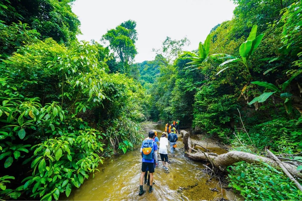Ma Da Valley Jungle Camping 2D1N