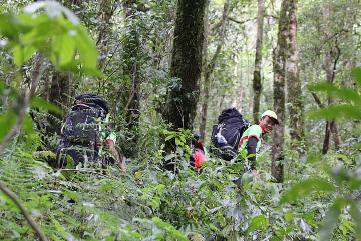Trekking on Lang Biang Mountain