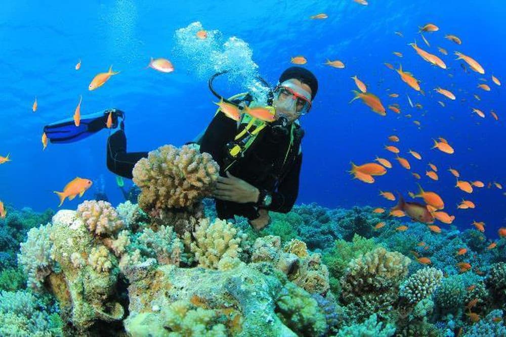 Vinh Hy Bay Day Tour