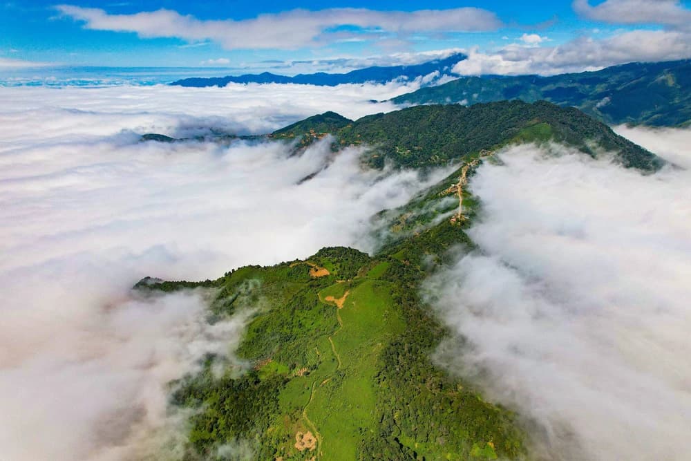 Ta Xua cloud paradise 3D2N chill and trekking (Temporarily Stop)