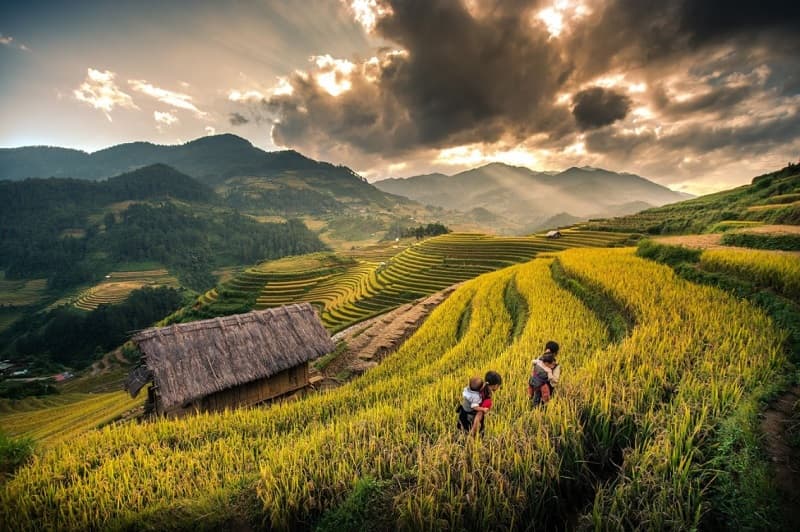 Sapa Trekking Y Linh Ho, Lao Chai, Ta Van and Giang Ta Chai - Sleeping Homestay 2D1N  - Vip Sleeper Bus (Group Tour)