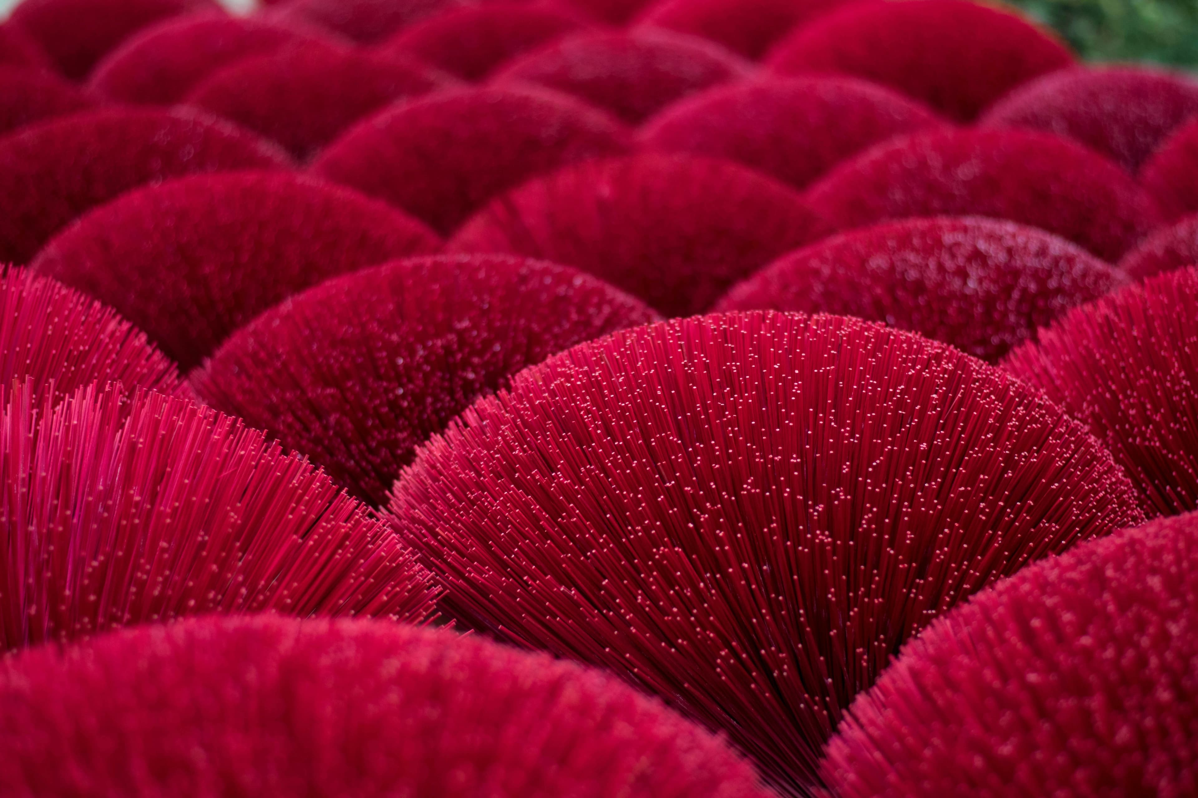 trinity-treft-TXWv_nkLNUQ-unsplash