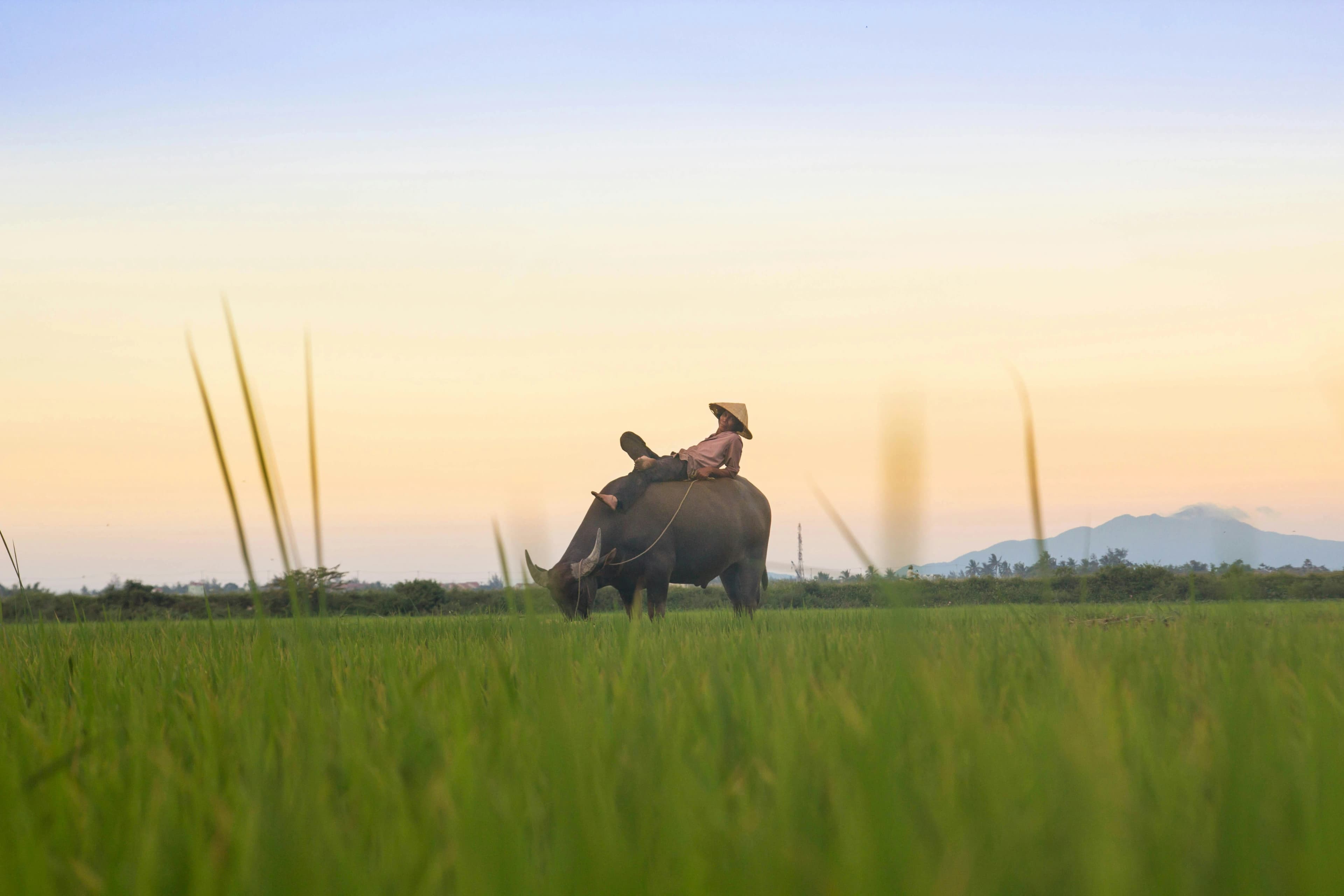 kiril-dobrev-UB0QiVPsXgc-unsplash