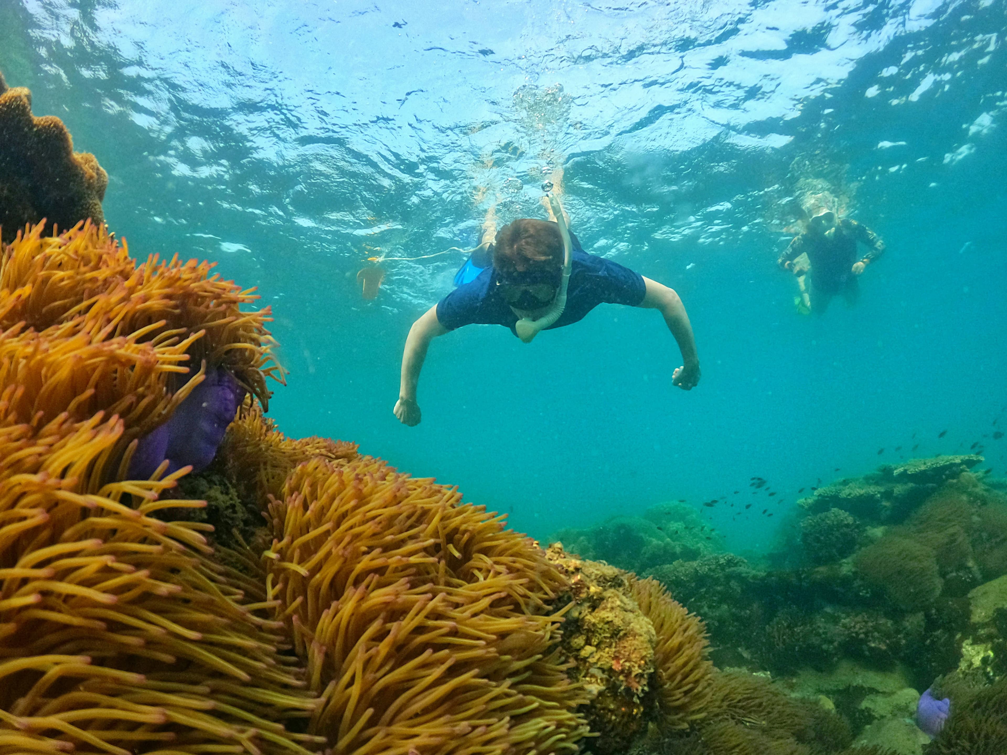 Cham Island Snorkeling Day Trip