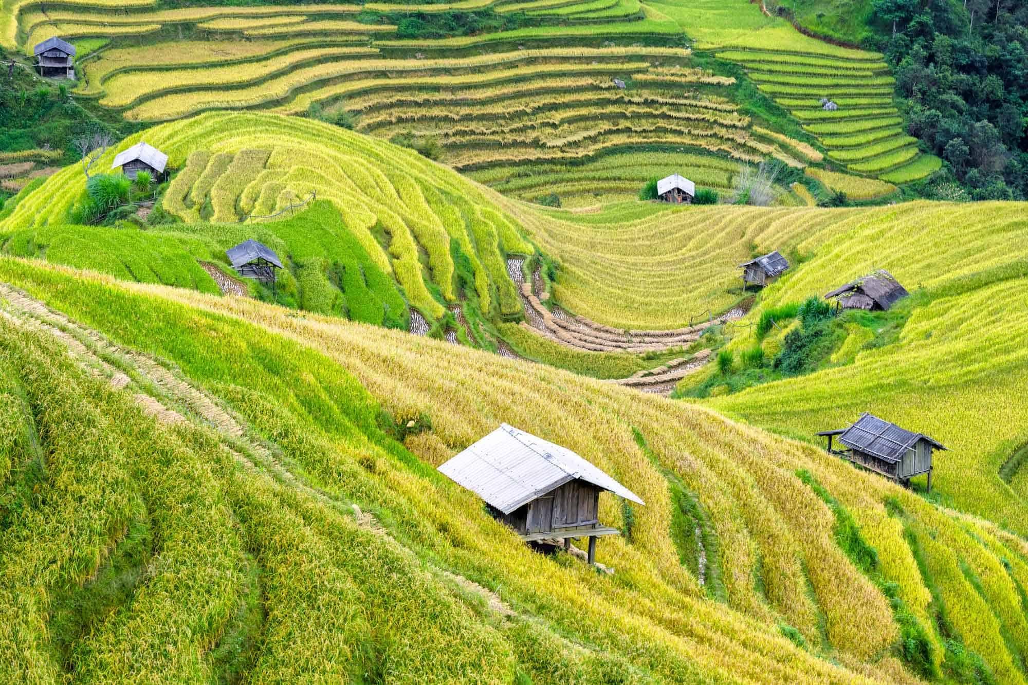 Sapa Trekking Y Linh Ho, Lao Chai, Ta Van and Giang Ta Chai - Sleeping Homestay 2D1N  - Vip Sleeper Bus (Group Tour)