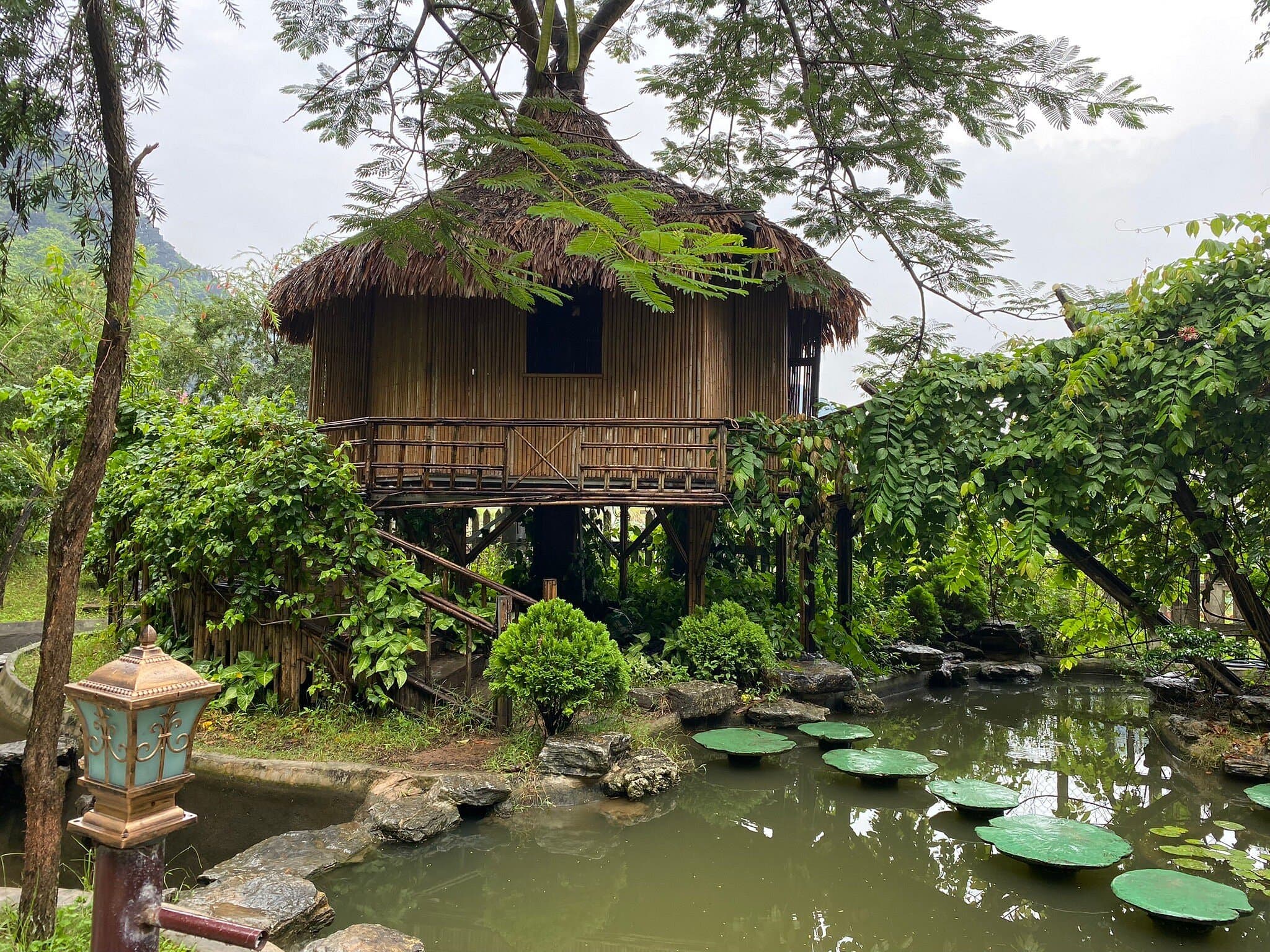 Luxury Ninh Binh Day Tour : Hoa Lu - Tam Coc - Mua Cave small group