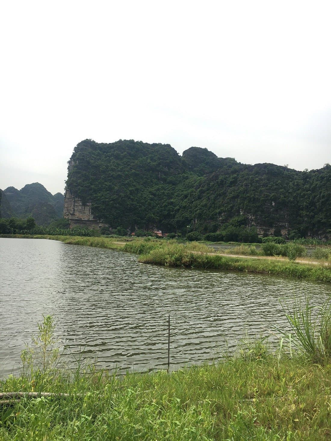 Luxury Ninh Binh Day Tour : Hoa Lu - Tam Coc - Mua Cave small group