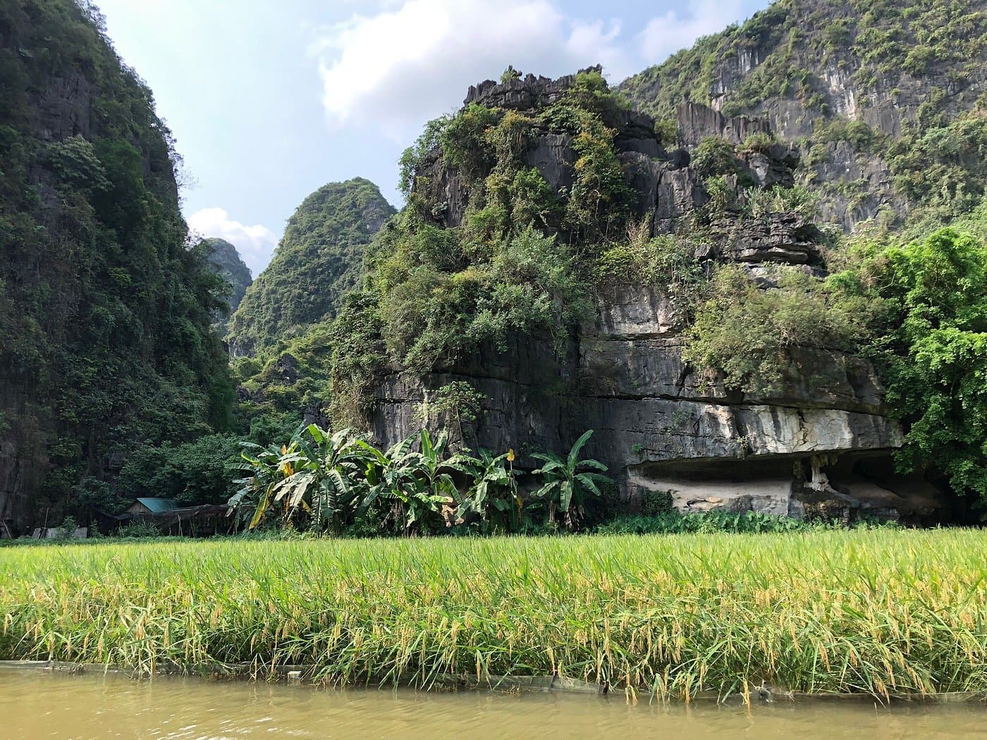 Luxury Ninh Binh Day Tour : Hoa Lu - Tam Coc - Mua Cave small group