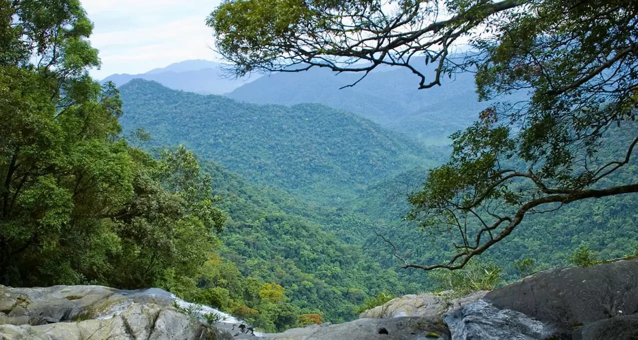 BACH MA NATIONAL PARK