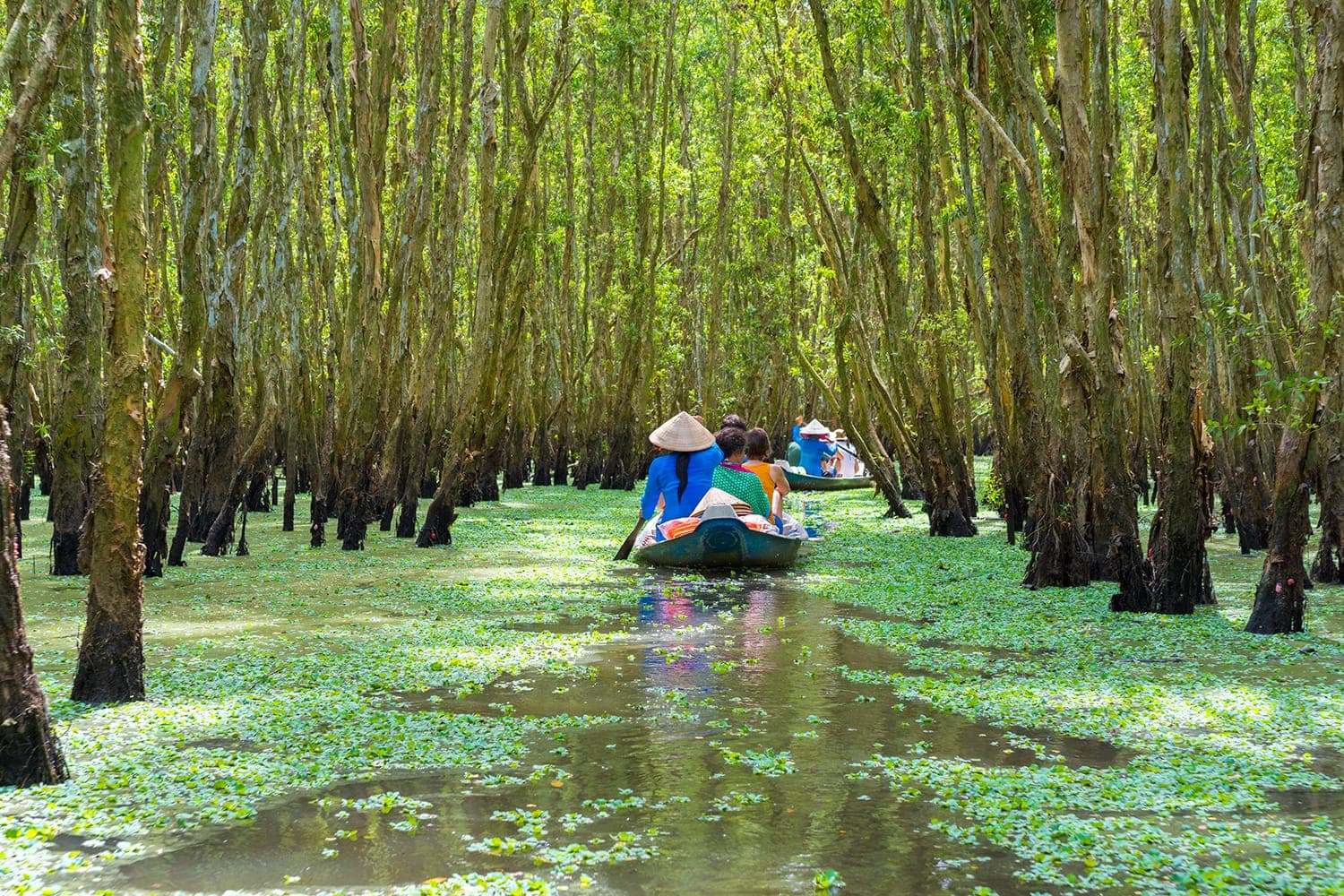 MeKong Delta Tour