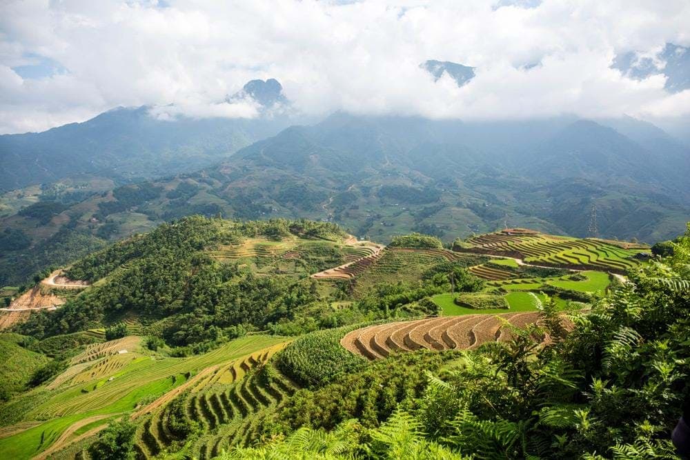 Sapa Trekking 2D1N Sleeping Hotel (Private Tour)