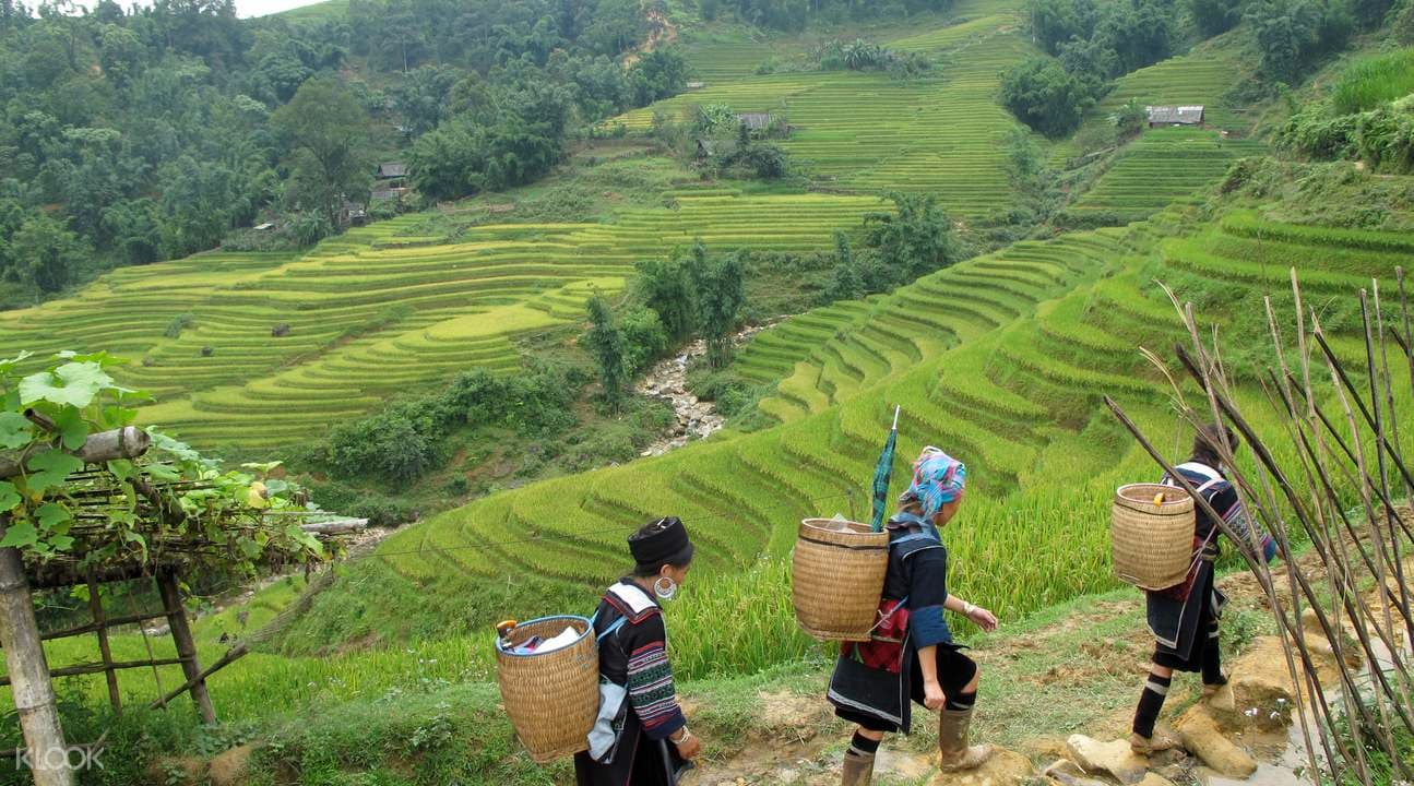 Sapa Trekking 2D1N Sleeping Hotel (Private Tour)