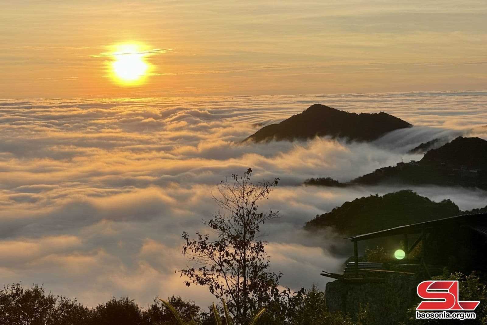 Ta Xua cloud paradise 2D1N