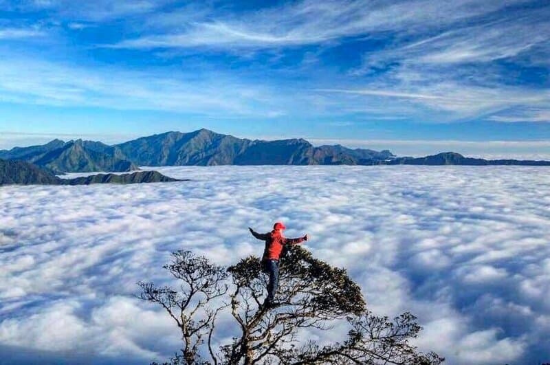 Ta Xua cloud paradise 2D1N