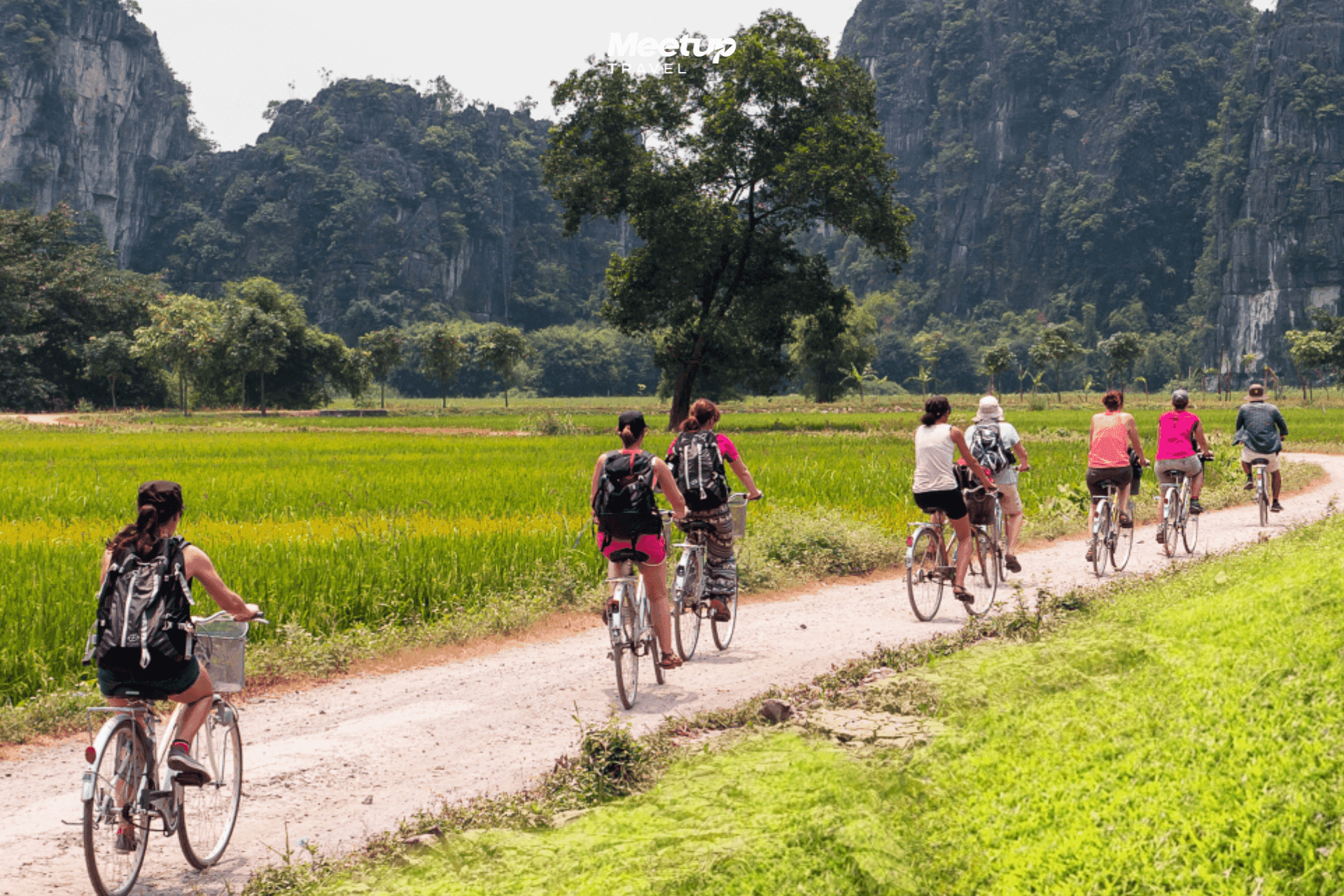 Luxury Ninh Binh Day Tour : Hoa Lu - Trang an - Mua Cave small group