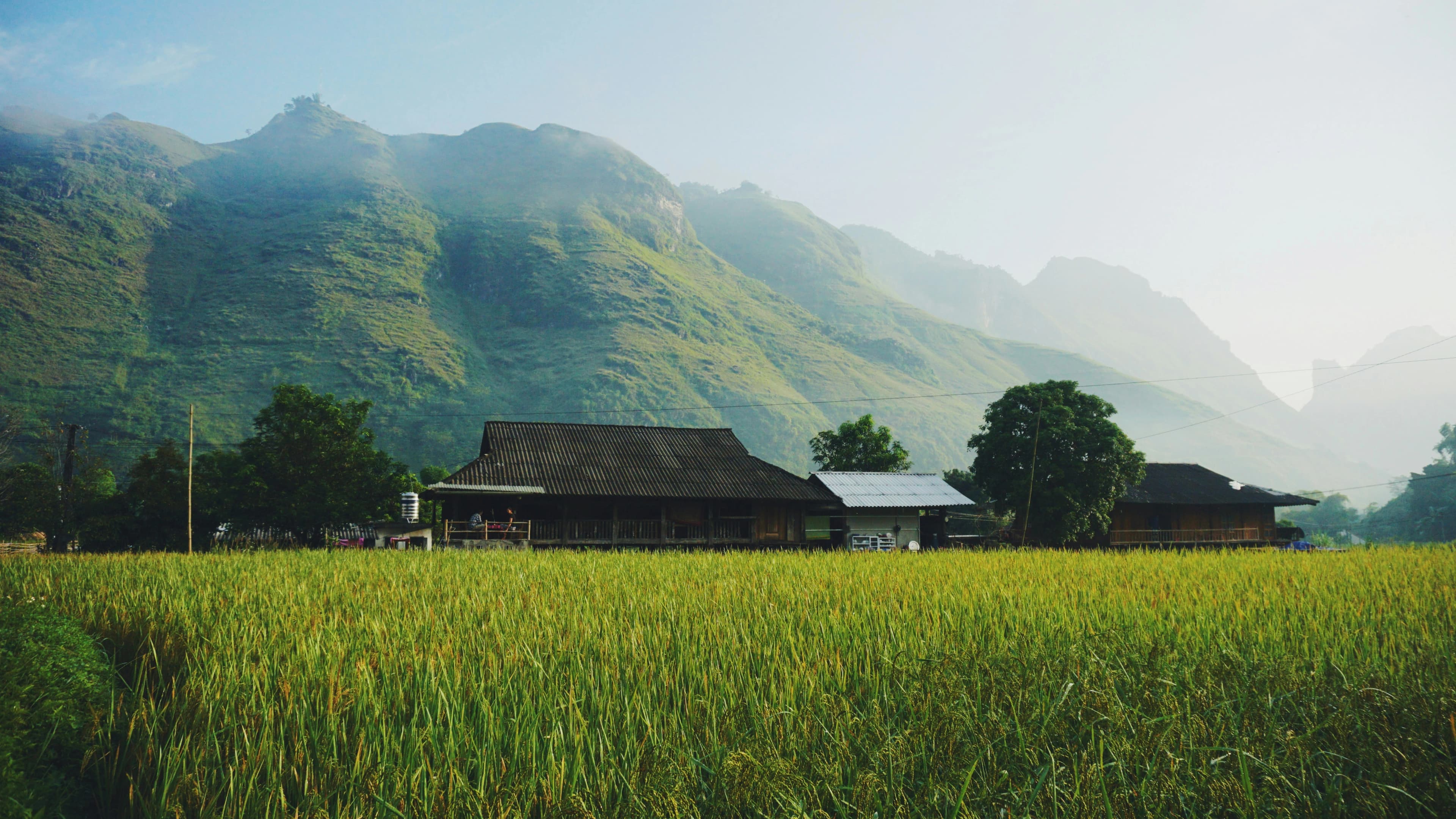 dang-cong-TMa0l7fdSW8-unsplash